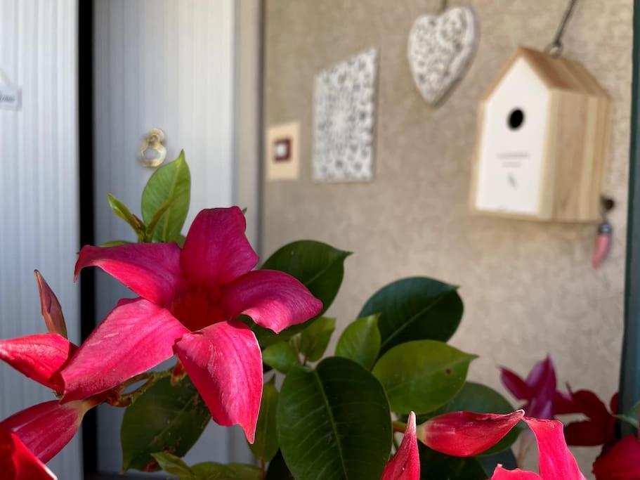 Annali Casa Vacanze - Shabby Style Nella Natura La Spezia Exterior photo